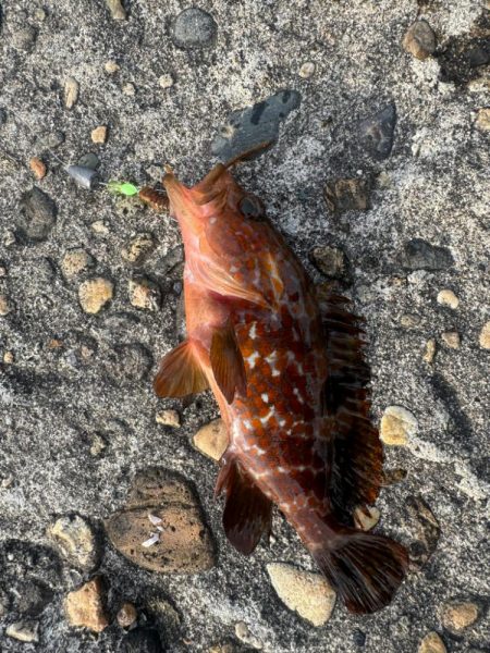 梅雨入る前に練習へ