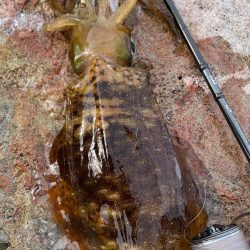 思ったところで^_^