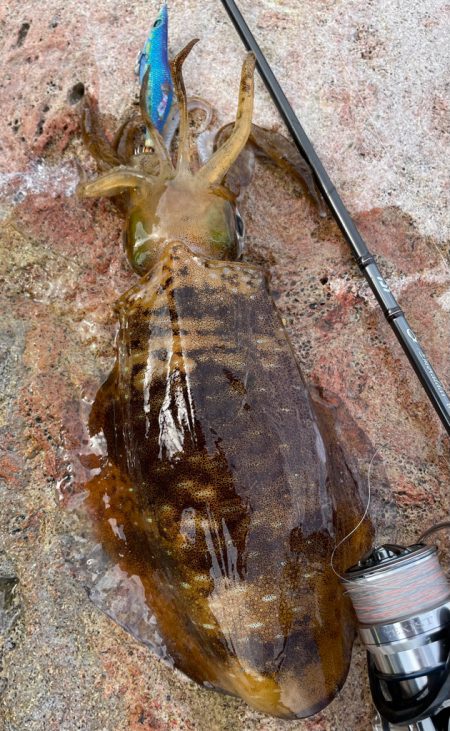 思ったところで^_^