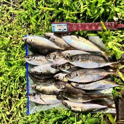 雨の中の表層パターン