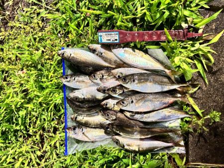 雨の中の表層パターン