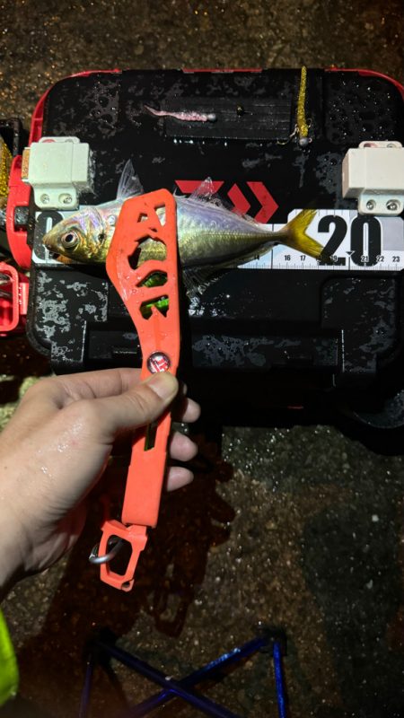 GMさん？そろそろタコ釣りですね！