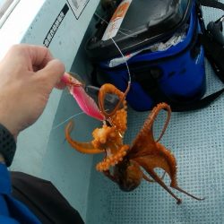 船タコぼちぼち