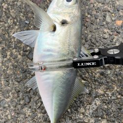 自己ベスト( ・∇・)