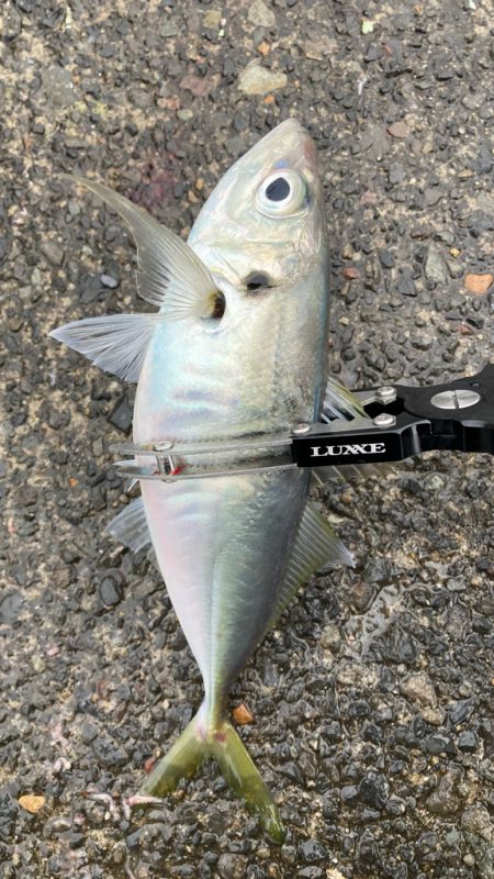 自己ベスト( ・∇・)