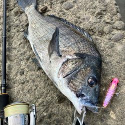 トップチニング