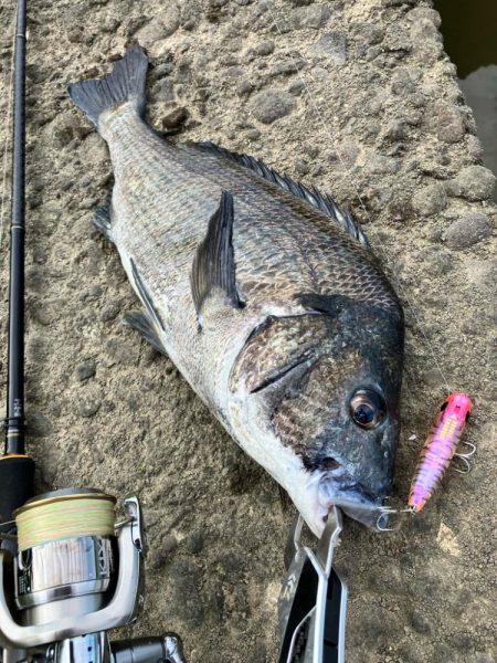 トップチニング