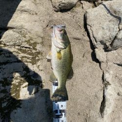 暑い中頑張った！！