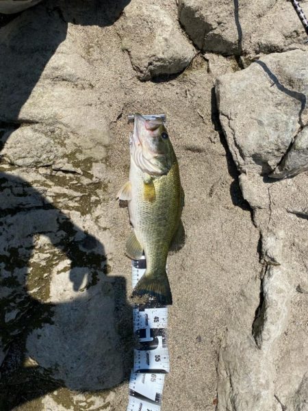 暑い中頑張った！！