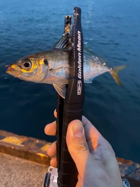 渋いながらもなんとからつ抜け