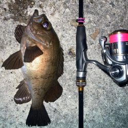 2024ライトゲーム第22戦