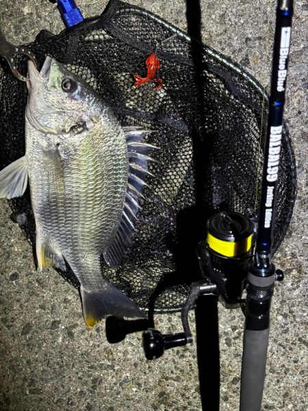 初場所でチニング