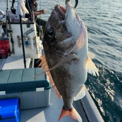 昼からぶらっと♪