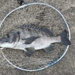 午後の落とし込み