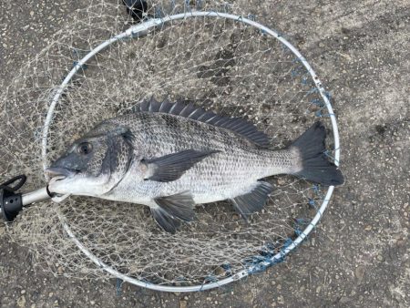 午後の落とし込み