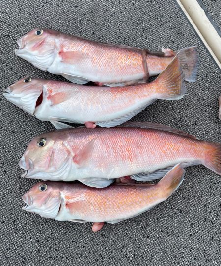 鯛ラバ　バチコン