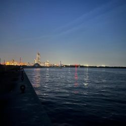 お持ち帰りアコウ捕獲成功‼️