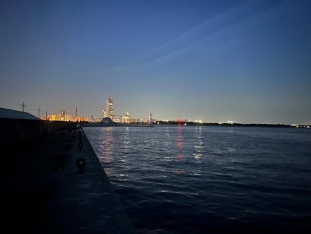 お持ち帰りアコウ捕獲成功‼️