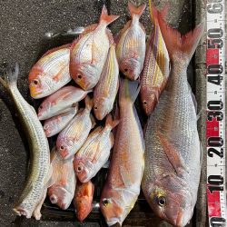 マイボートでアマダイ狙い!