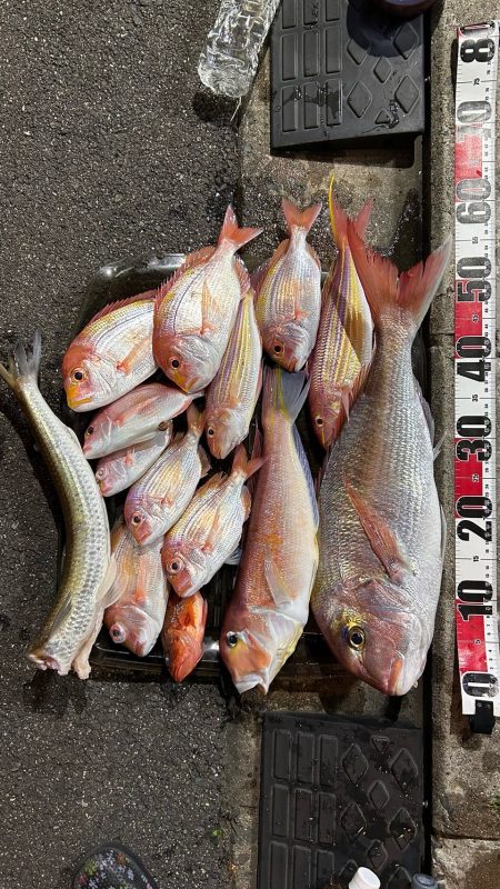 マイボートでアマダイ狙い!