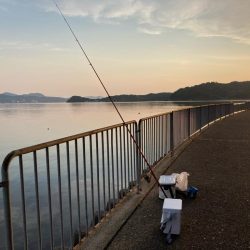 京都府宮津へキス釣り