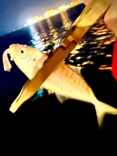 ジグ単de〜アジング♪幼馴染の初アジング