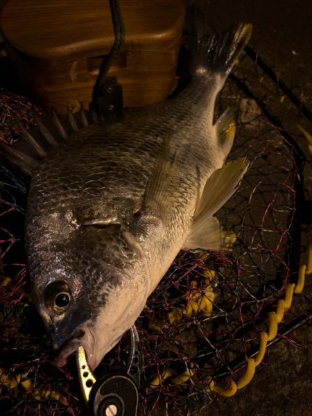 ヘチってきました