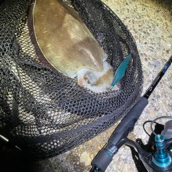 エギング楽しい(^.^)