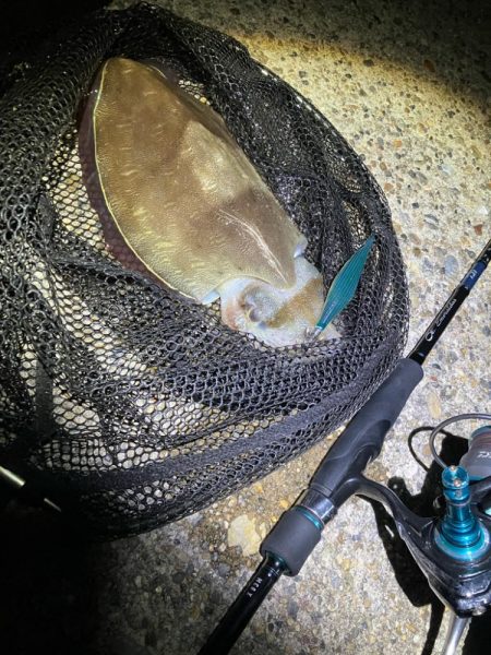 エギング楽しい(^.^)