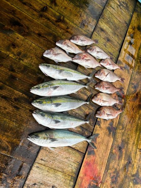 あなたに逢い鯛　夕まずめ