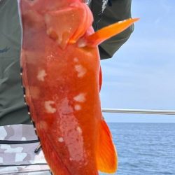 スーパーライトジギング