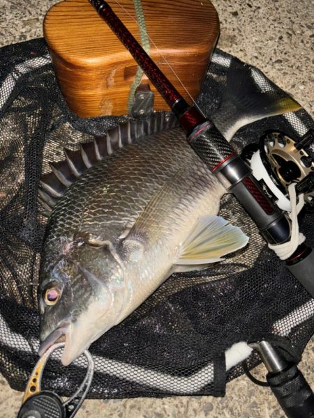 ヘチってきました