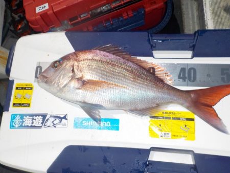 完全フカセ第2戦〜倉丸〜