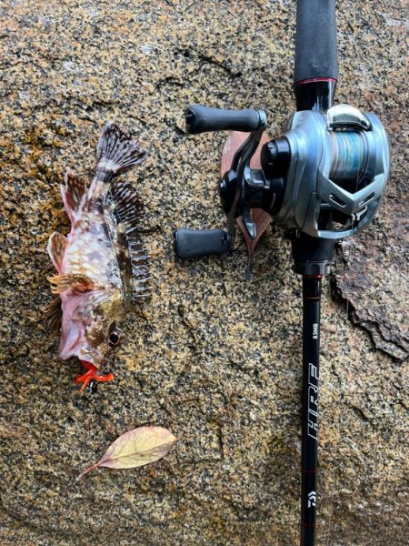 小浜ライトロック