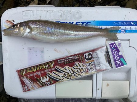 紀東・尾鷲～引本周辺へ大型キス狙い！