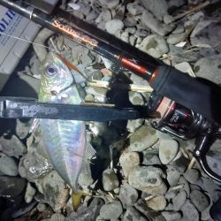 フロートゲーム～