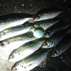 フロートゲーム～