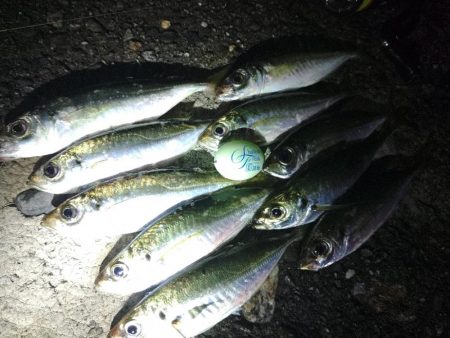 フロートゲーム～