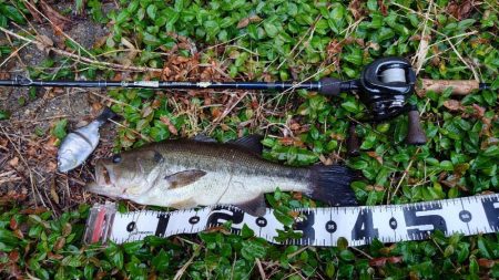 サイトで仕留めた！