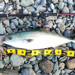 静かな海の中で…