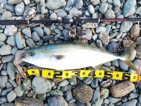 静かな海の中で…