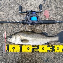 大雨の中での短時間勝負…