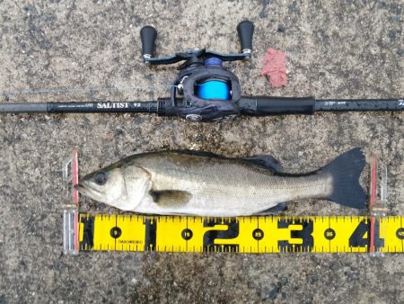 大雨の中での短時間勝負…