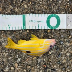 久しぶりの遠征