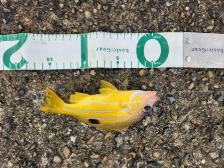 久しぶりの遠征