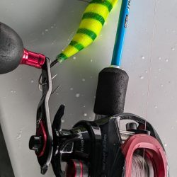 エコ？フィッシング