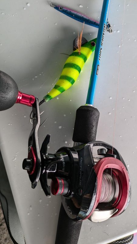 エコ？フィッシング