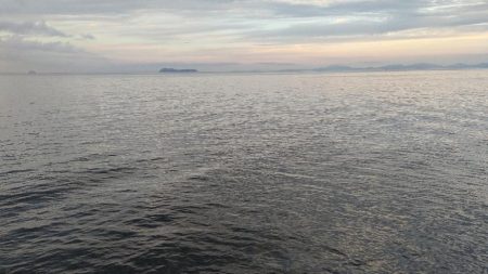 カマス再チャレンジ