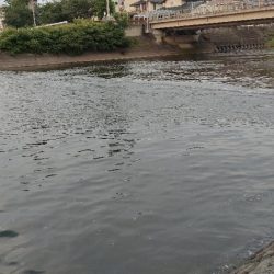 夕マズメチニング