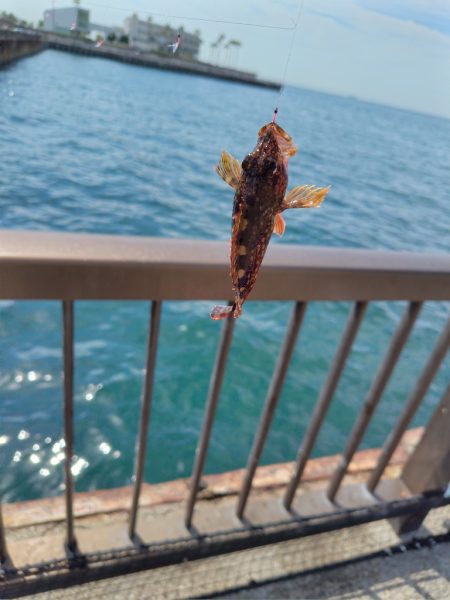 子供達と行くも撃沈